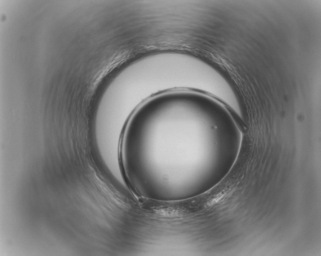 X0000059060735200510171939