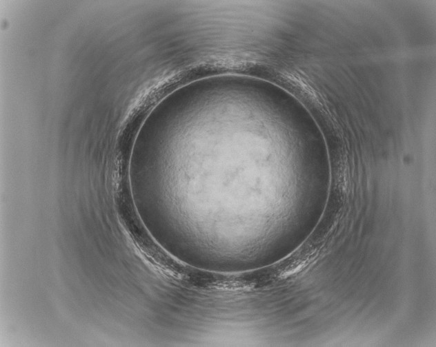 X0000059060736200510171939