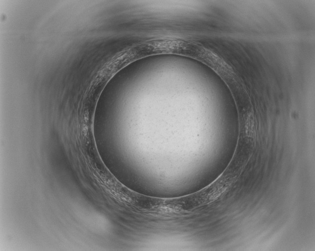 X0000059060737200510171939