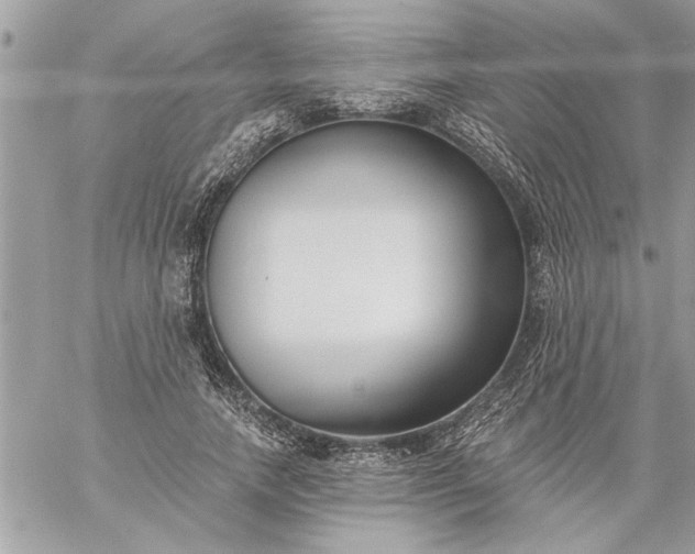 X0000059060738200510171939