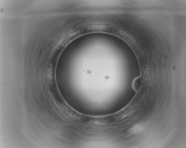 X0000059060739200510171939