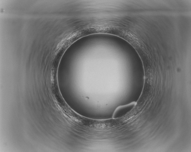 X0000059060740200510171939