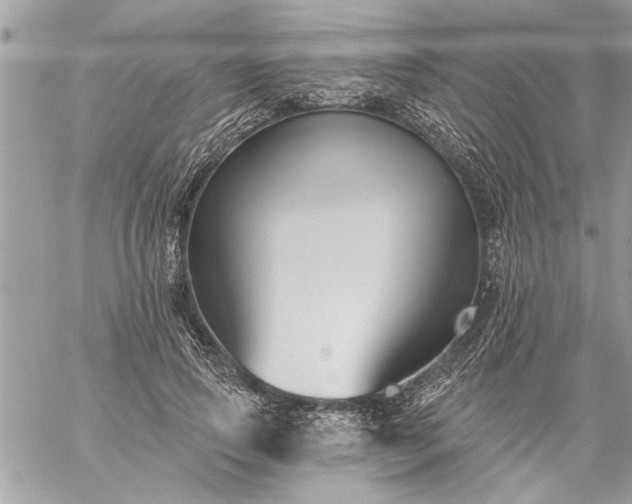 X0000059060741200510171939