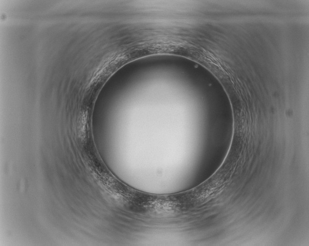 X0000059060742200510171939