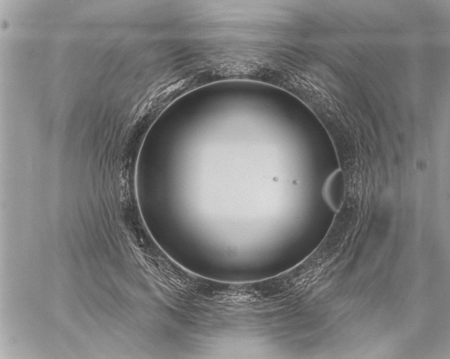 X0000059060743200510171939