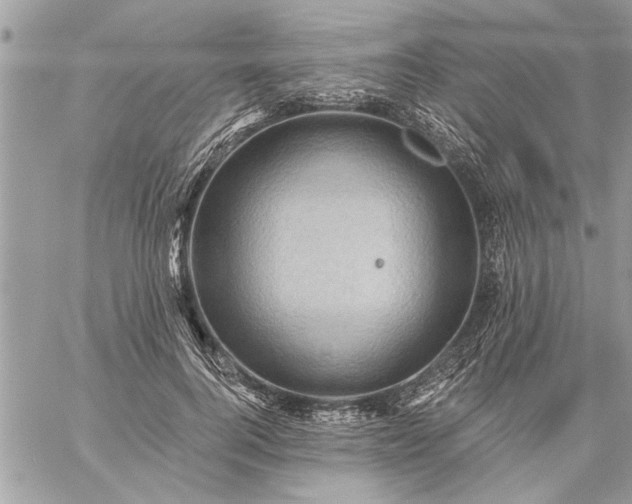 X0000059060744200510171939