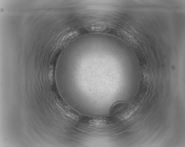 X0000059060745200510171939