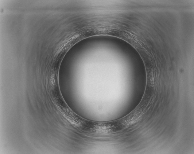 X0000059060746200510171939