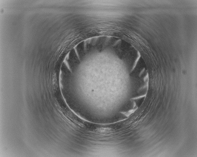 X0000059060748200510171939