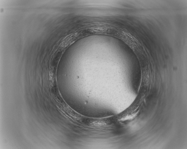 X0000059060749200510171939