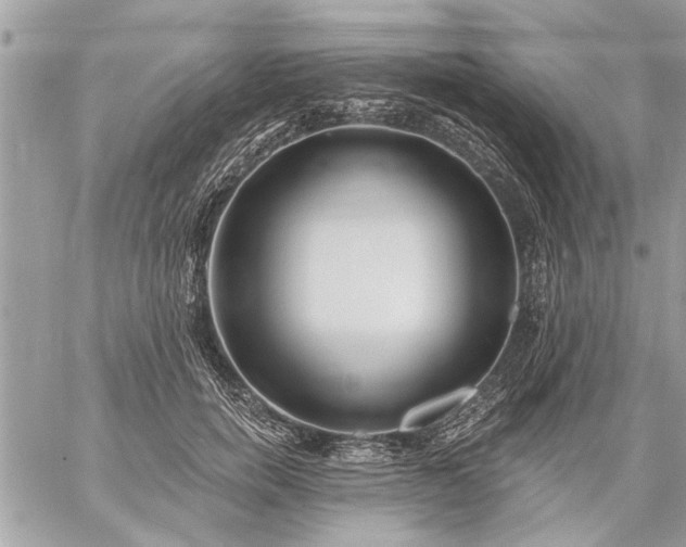 X0000059060750200510171939