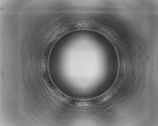 X0000059060751200510171939