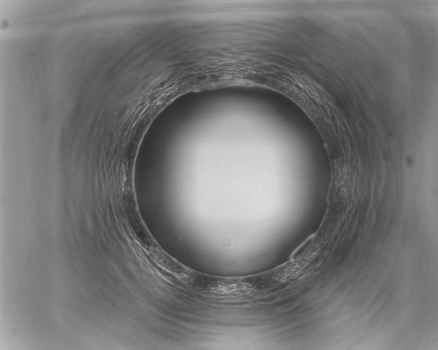 X0000059060752200510171939