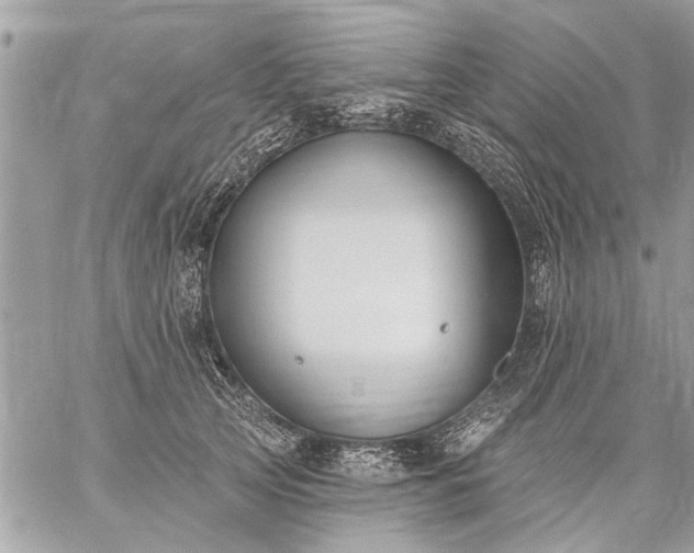 X0000059060753200510171939