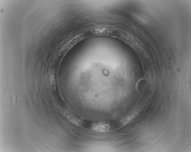 X0000059060754200510171939