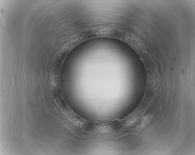 X0000059060755200510171939