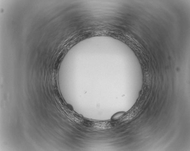 X0000059060757200510171939