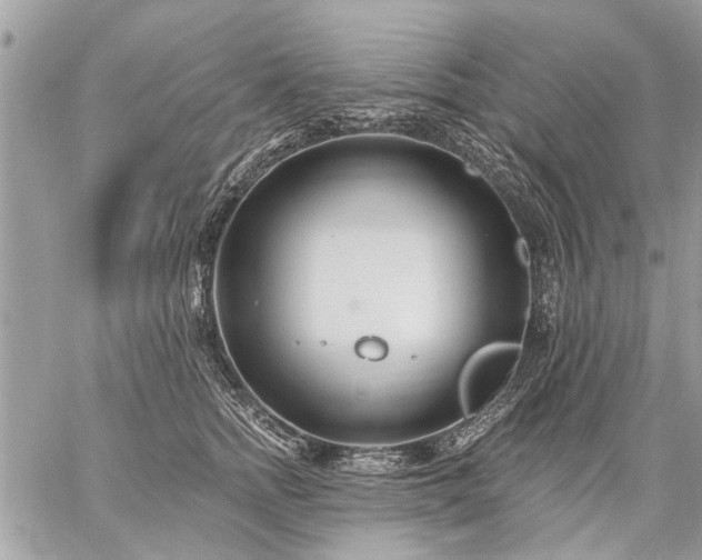 X0000059060758200510171939