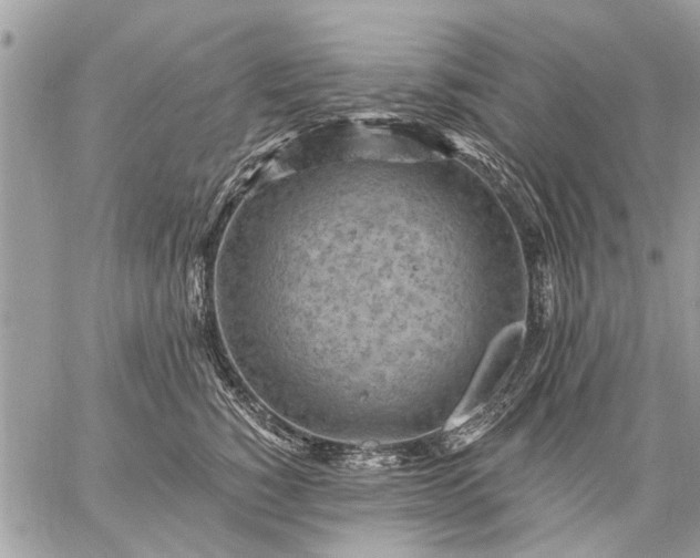 X0000059060760200510171939