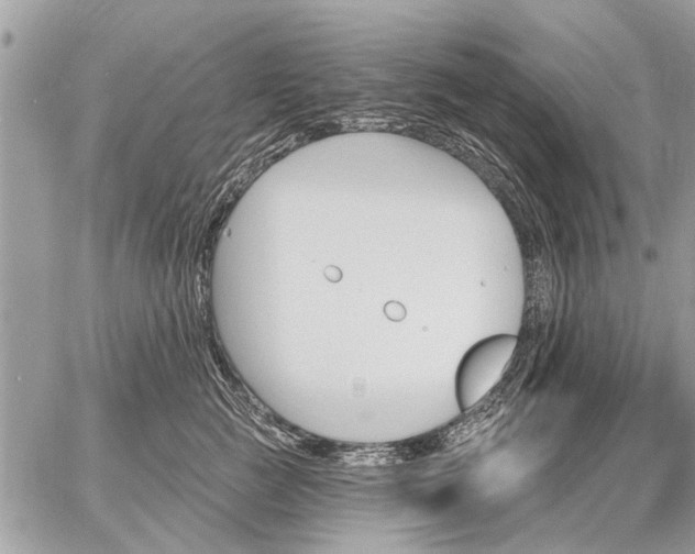 X0000059060761200510171939