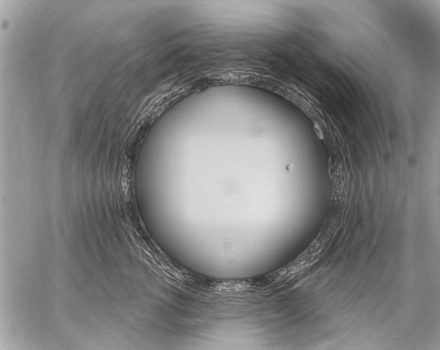 X0000059060762200510171939