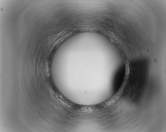 X0000059060764200510171939