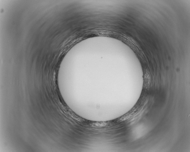 X0000059060765200510171939