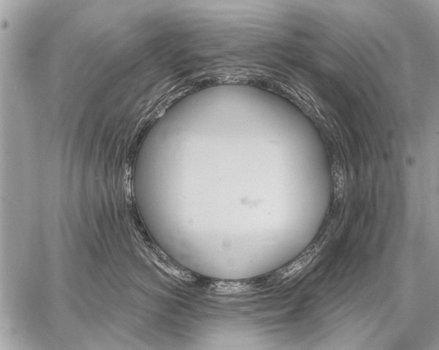 X0000059060766200510171939