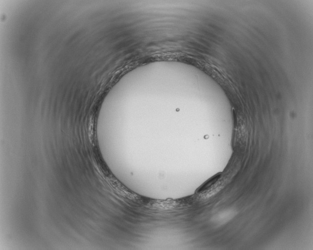 X0000059060767200510171939