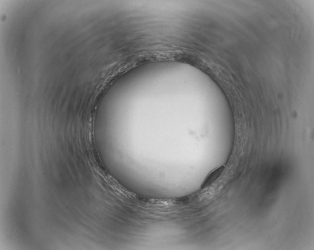 X0000059060768200510171939