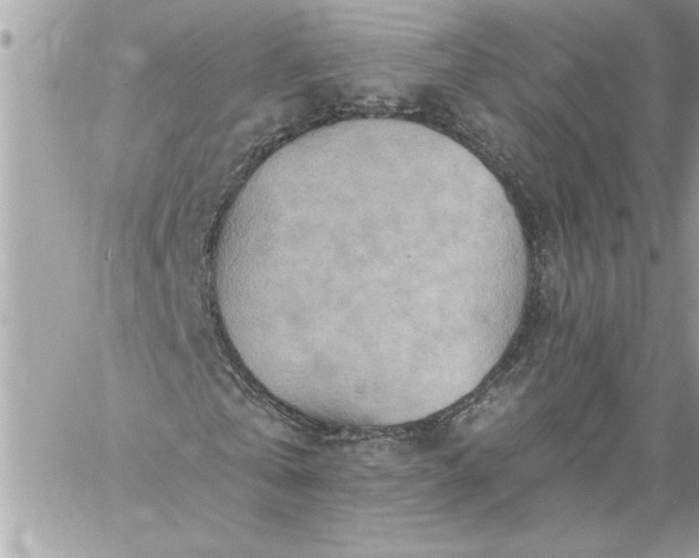 X0000059060769200510171938