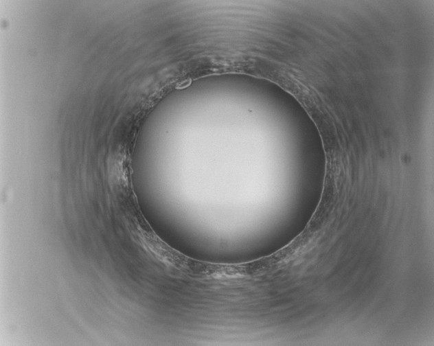 X0000059060770200510171938