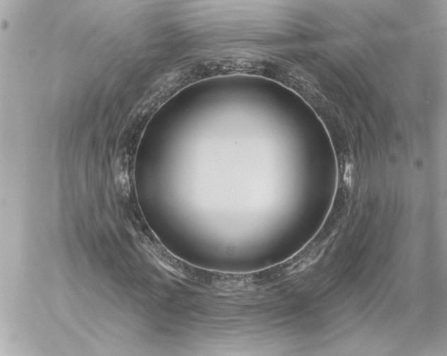 X0000059060771200510171938