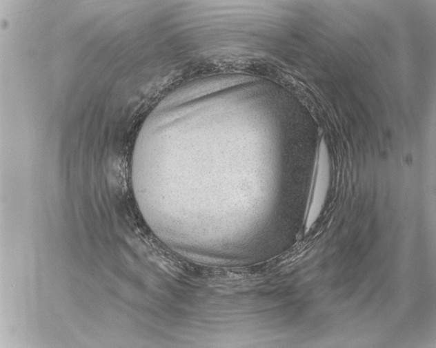 X0000059060772200510171938