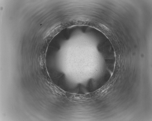 X0000059060774200510171938