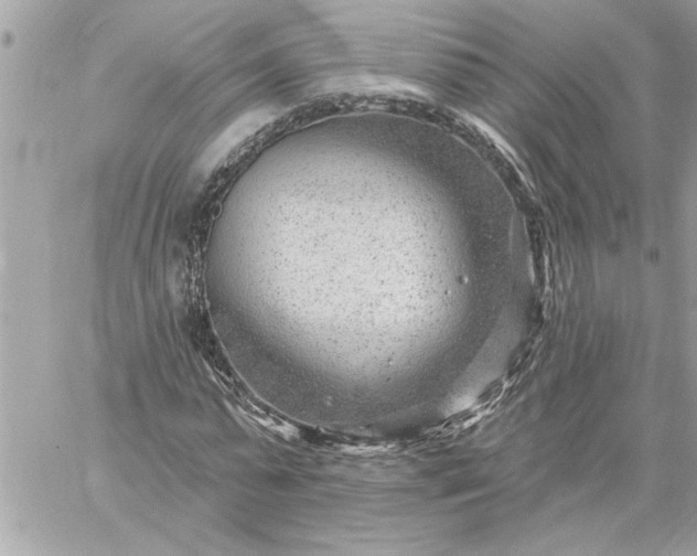 X0000059060775200510171938