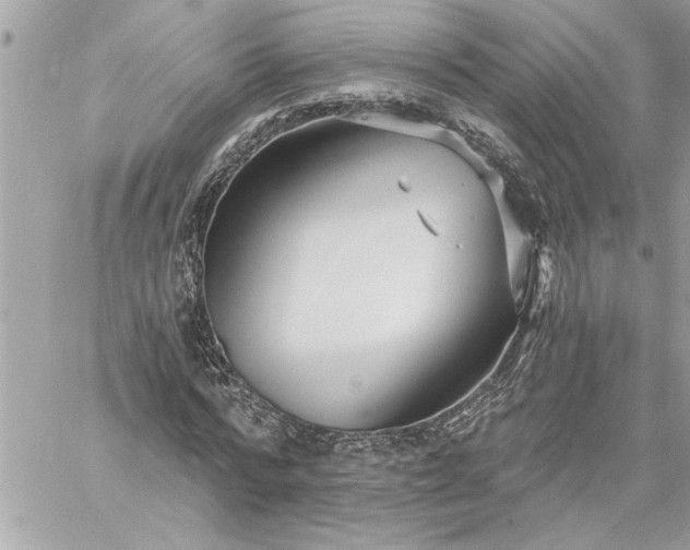 X0000059060776200510171938