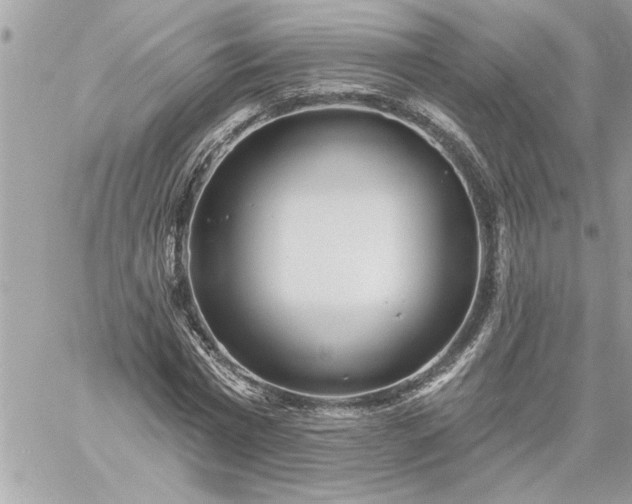 X0000059060777200510171938