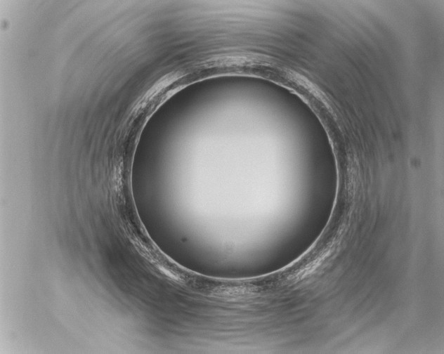 X0000059060778200510171938