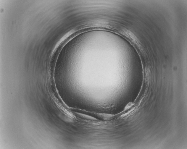 X0000059060780200510171938