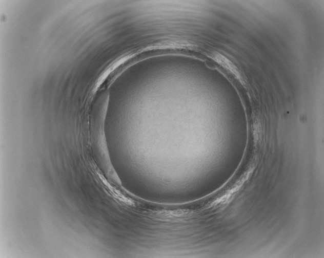 X0000059060781200510171938