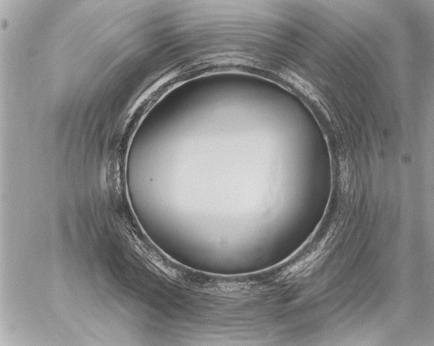 X0000059060782200510171938