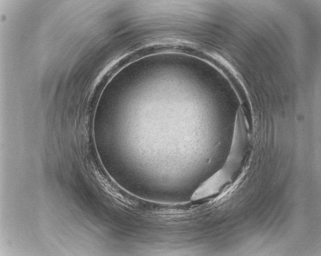 X0000059060783200510171938