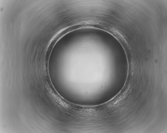 X0000059060784200510171938