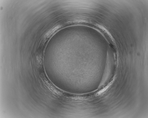 X0000059060785200510171938