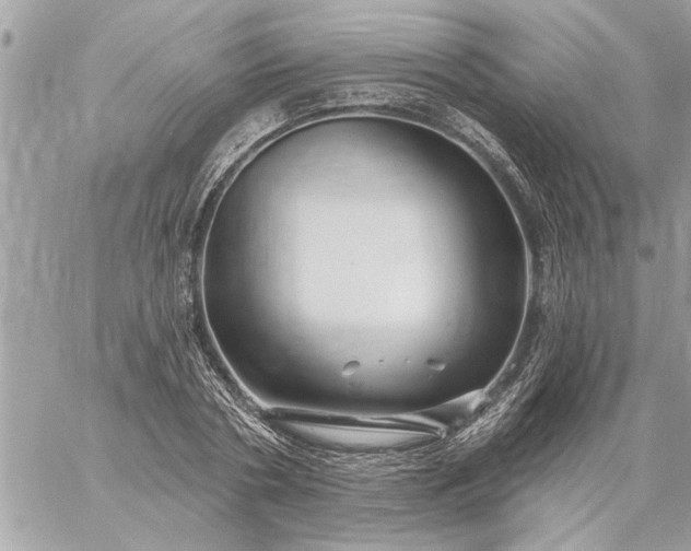 X0000059060786200510171938