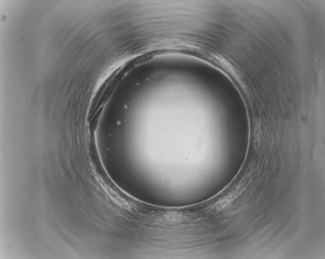 X0000059060787200510171938