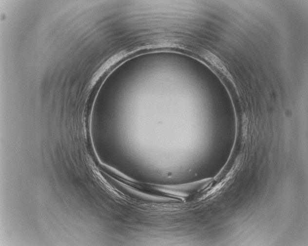 X0000059060789200510171938