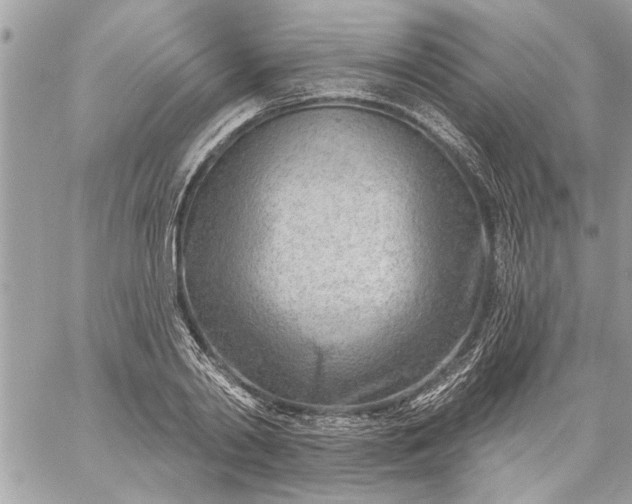 X0000059060790200510171938