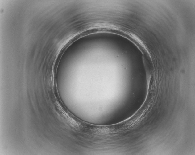 X0000059060791200510171938